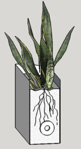 Natural Air Filter Cross-Section