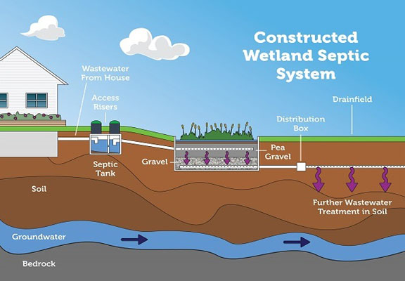 Wetland System