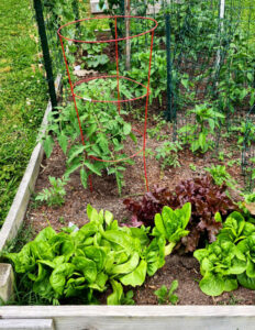 composting Garden