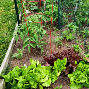 composting Garden